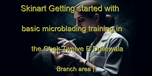Skinart Getting started with basic microblading training in the Chak Twelve B Dullewala Branch area | MicrobladingTraining | MicrobladingClasses | SkinartTraining-Pakistan